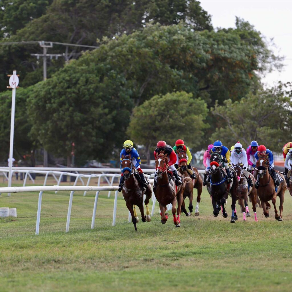 شرط‌بندی اسب‌دوانی